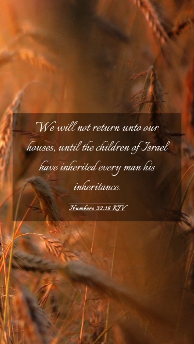 Picture 03 - Numbers 32:18 KJV Mobile Phone Wallpaper - We will not return unto our houses, until the - Mobile Bible Verse Wallpaper