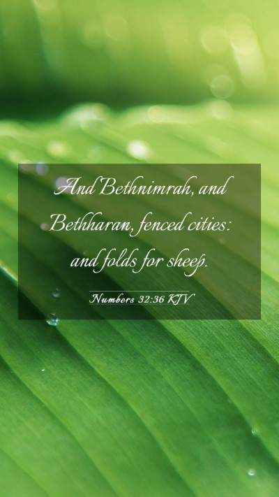 Picture 03 - Numbers 32:36 KJV Mobile Phone Wallpaper - And Bethnimrah, and Bethharan, fenced cities: and - Mobile Bible Verse Wallpaper