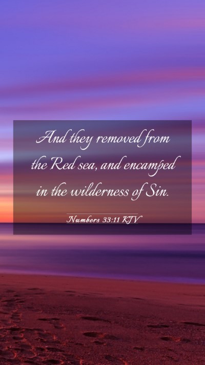 Picture 03 - Numbers 33:11 KJV Mobile Phone Wallpaper - And they removed from the Red sea, and encamped - Mobile Bible Verse Wallpaper