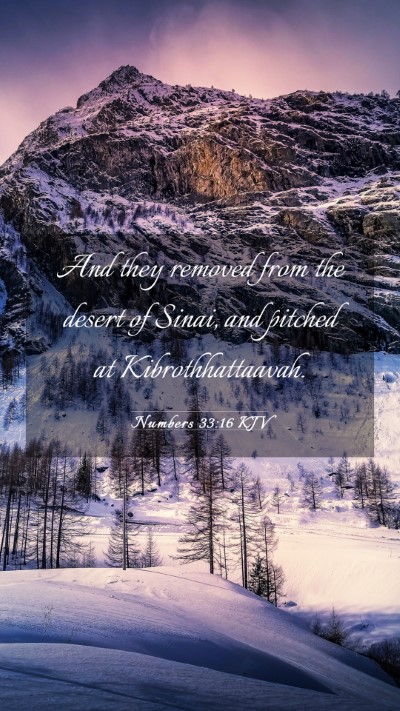 Picture 03 - Numbers 33:16 KJV Mobile Phone Wallpaper - And they removed from the desert of Sinai, and - Mobile Bible Verse Wallpaper