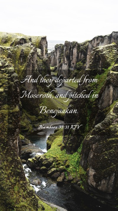Picture 03 - Numbers 33:31 KJV Mobile Phone Wallpaper - And they departed from Moseroth, and pitched in - Mobile Bible Verse Wallpaper