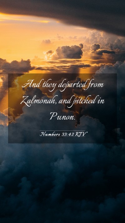 Picture 03 - Numbers 33:42 KJV Mobile Phone Wallpaper - And they departed from Zalmonah, and pitched in - Mobile Bible Verse Wallpaper