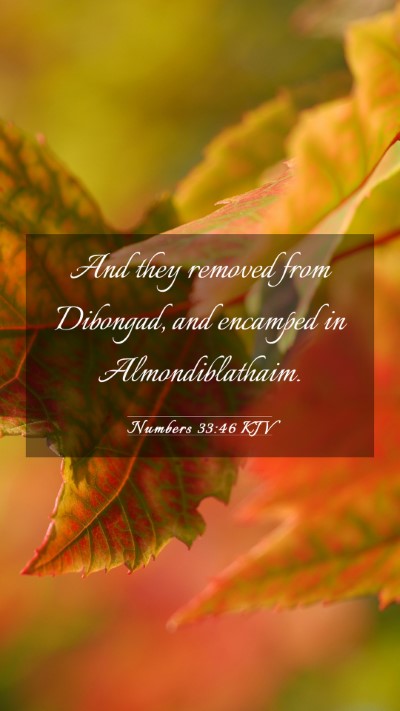Picture 03 - Numbers 33:46 KJV Mobile Phone Wallpaper - And they removed from Dibongad, and encamped in - Mobile Bible Verse Wallpaper