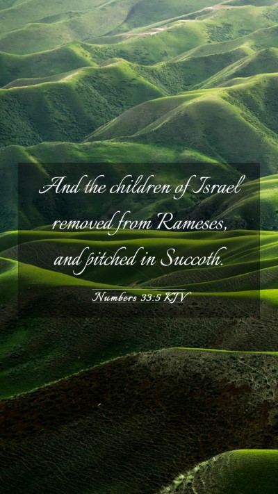 Picture 03 - Numbers 33:5 KJV Mobile Phone Wallpaper - And the children of Israel removed from Rameses, - Mobile Bible Verse Wallpaper