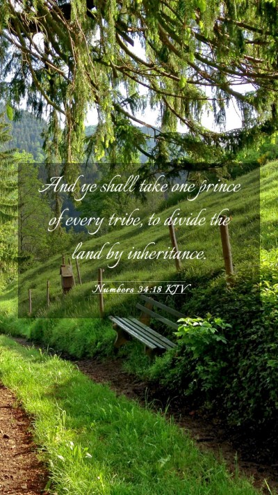 Picture 03 - Numbers 34:18 KJV Mobile Phone Wallpaper - And ye shall take one prince of every tribe, to - Mobile Bible Verse Wallpaper