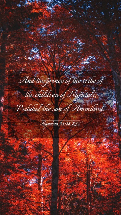 Picture 03 - Numbers 34:28 KJV Mobile Phone Wallpaper - And the prince of the tribe of the children of - Mobile Bible Verse Wallpaper