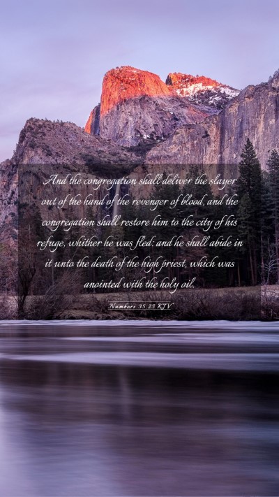 Picture 03 - Numbers 35:25 KJV Mobile Phone Wallpaper - And the congregation shall deliver the slayer out - Mobile Bible Verse Wallpaper
