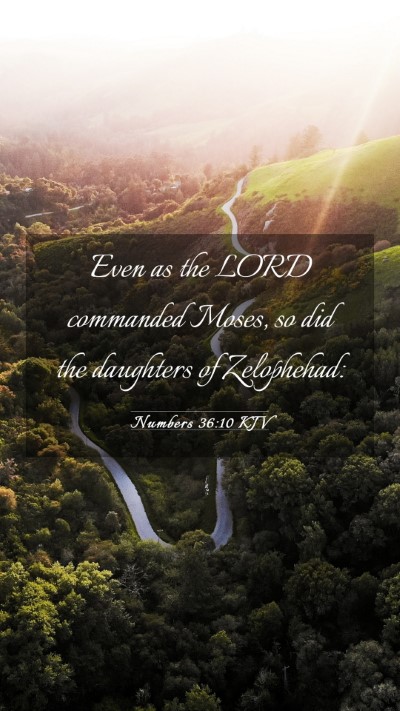 Picture 03 - Numbers 36:10 KJV Mobile Phone Wallpaper - Even as the LORD commanded Moses, so did the - Mobile Bible Verse Wallpaper
