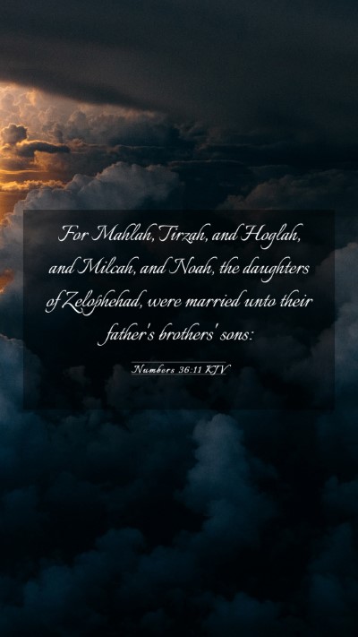 Picture 03 - Numbers 36:11 KJV Mobile Phone Wallpaper - For Mahlah, Tirzah, and Hoglah, and Milcah, and - Mobile Bible Verse Wallpaper