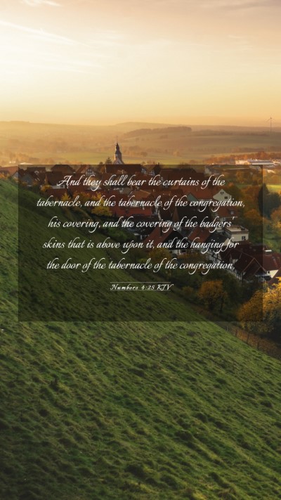 Picture 03 - Numbers 4:25 KJV Mobile Phone Wallpaper - And they shall bear the curtains of the - Mobile Bible Verse Wallpaper