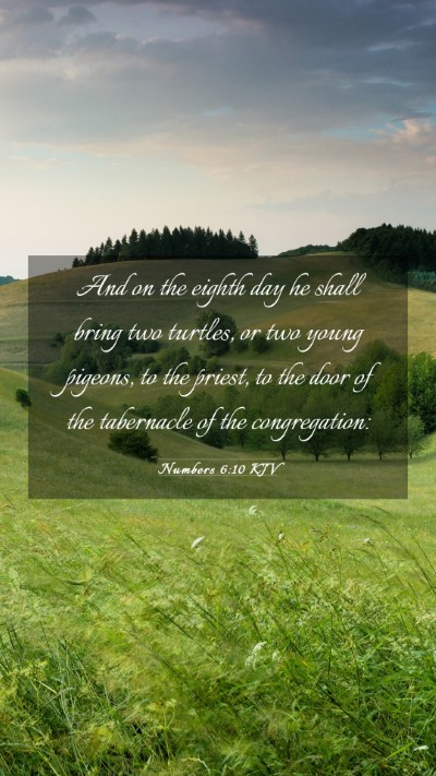 Picture 03 - Numbers 6:10 KJV Mobile Phone Wallpaper - And on the eighth day he shall bring two turtles, - Mobile Bible Verse Wallpaper
