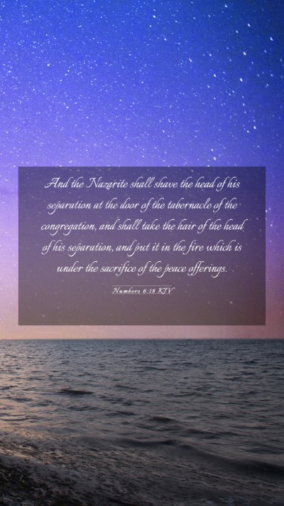 Picture 03 - Numbers 6:18 KJV Mobile Phone Wallpaper - And the Nazarite shall shave the head of his - Mobile Bible Verse Wallpaper
