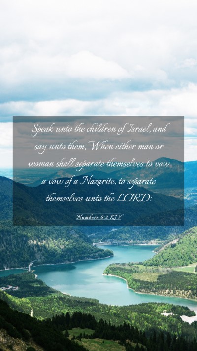Picture 03 - Numbers 6:2 KJV Mobile Phone Wallpaper - Speak unto the children of Israel, and say unto - Mobile Bible Verse Wallpaper
