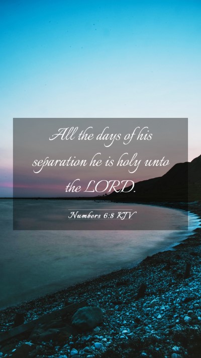Picture 03 - Numbers 6:8 KJV Mobile Phone Wallpaper - All the days of his separation he is holy unto - Mobile Bible Verse Wallpaper