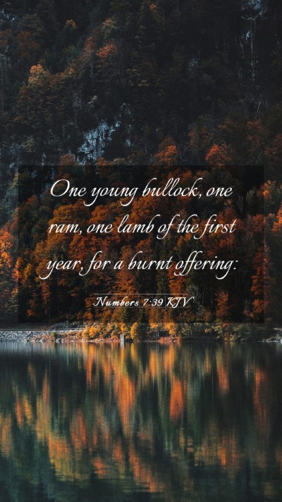 Picture 03 - Numbers 7:39 KJV Mobile Phone Wallpaper - One young bullock, one ram, one lamb of the first - Mobile Bible Verse Wallpaper