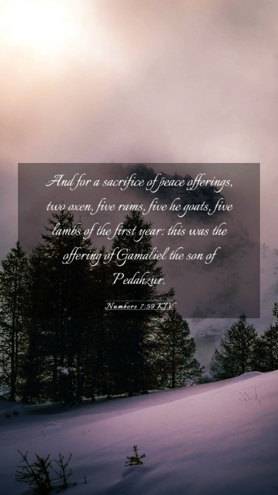 Picture 03 - Numbers 7:59 KJV Mobile Phone Wallpaper - And for a sacrifice of peace offerings, two oxen, - Mobile Bible Verse Wallpaper