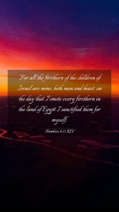 Picture 03 - Numbers 8:17 KJV Mobile Phone Wallpaper - For all the firstborn of the children of Israel - Mobile Bible Verse Wallpaper