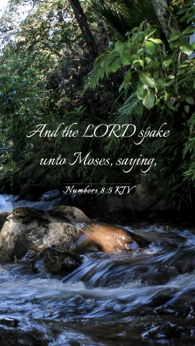 Picture 03 - Numbers 8:5 KJV Mobile Phone Wallpaper - And the LORD spake unto Moses, - Mobile Bible Verse Wallpaper
