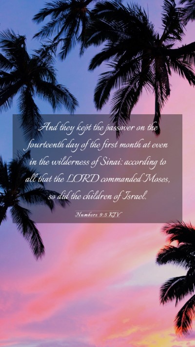 Picture 03 - Numbers 9:5 KJV Mobile Phone Wallpaper - And they kept the passover on the fourteenth day - Mobile Bible Verse Wallpaper