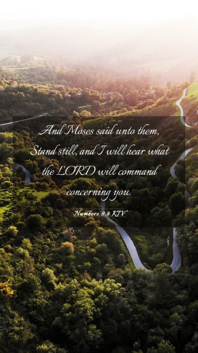 Picture 03 - Numbers 9:8 KJV Mobile Phone Wallpaper - And Moses said unto them, Stand still, and I will - Mobile Bible Verse Wallpaper