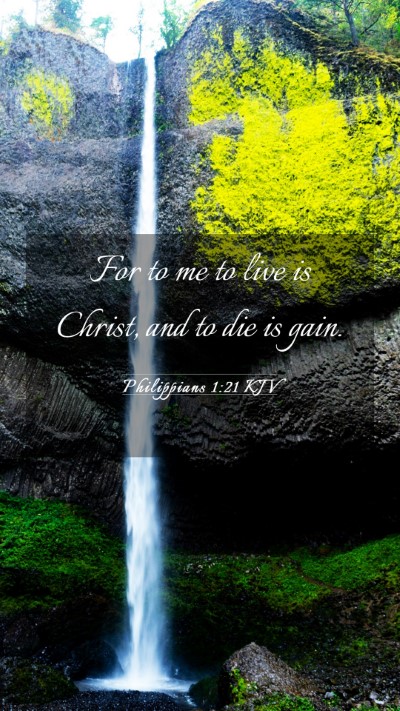 Picture 03 - Philippians 1:21 KJV Mobile Phone Wallpaper - For to me to live is Christ, and to die is - Mobile Bible Verse Wallpaper