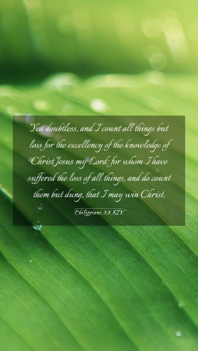 Picture 03 - Philippians 3:8 KJV Mobile Phone Wallpaper - Yea doubtless, and I count all things but loss - Mobile Bible Verse Wallpaper