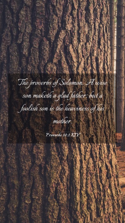 Picture 03 - Proverbs 10:1 KJV Mobile Phone Wallpaper - The proverbs of Solomon. A wise son maketh a glad - Mobile Bible Verse Wallpaper