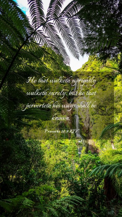 Picture 03 - Proverbs 10:9 KJV Mobile Phone Wallpaper - He that walketh uprightly walketh surely: but he - Mobile Bible Verse Wallpaper