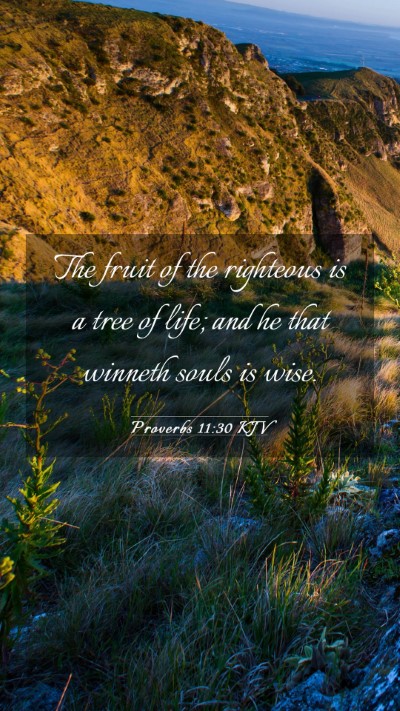 Picture 03 - Proverbs 11:30 KJV Mobile Phone Wallpaper - The fruit of the righteous is a tree of life; and - Mobile Bible Verse Wallpaper