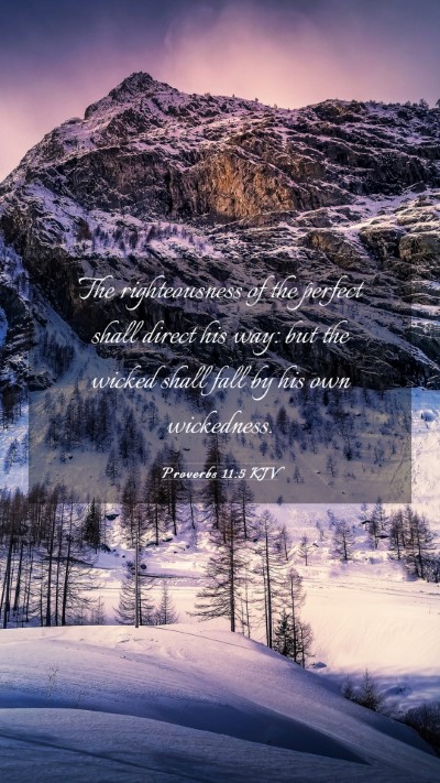 Picture 03 - Proverbs 11:5 KJV Mobile Phone Wallpaper - The righteousness of the perfect shall direct his - Mobile Bible Verse Wallpaper