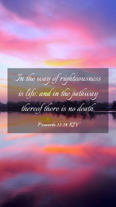 Picture 03 - Proverbs 12:28 KJV Mobile Phone Wallpaper - In the way of righteousness is life: and in the - Mobile Bible Verse Wallpaper