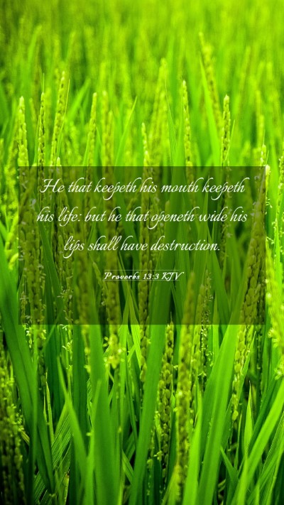 Picture 03 - Proverbs 13:3 KJV Mobile Phone Wallpaper - He that keepeth his mouth keepeth his life: but - Mobile Bible Verse Wallpaper