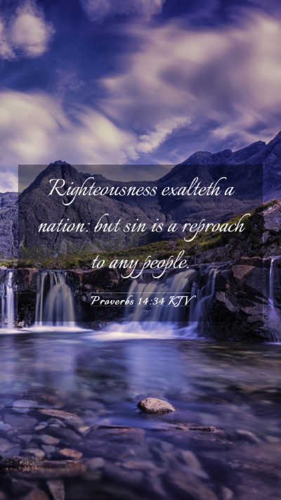 Picture 03 - Proverbs 14:34 KJV Mobile Phone Wallpaper - Righteousness exalteth a nation: but sin is a - Mobile Bible Verse Wallpaper