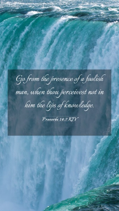 Picture 03 - Proverbs 14:7 KJV Mobile Phone Wallpaper - Go from the presence of a foolish man, when thou - Mobile Bible Verse Wallpaper