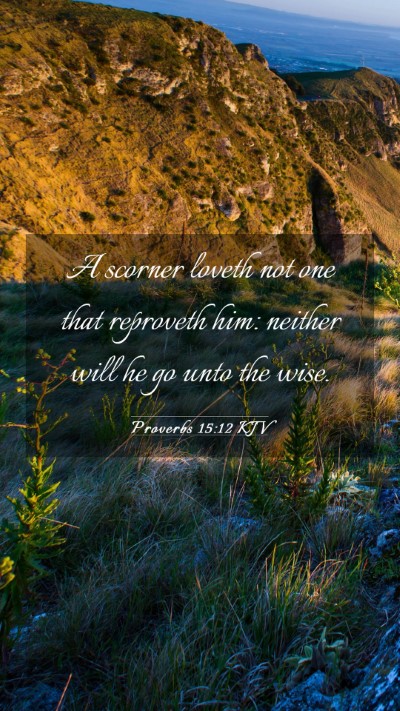 Picture 03 - Proverbs 15:12 KJV Mobile Phone Wallpaper - A scorner loveth not one that reproveth him: - Mobile Bible Verse Wallpaper