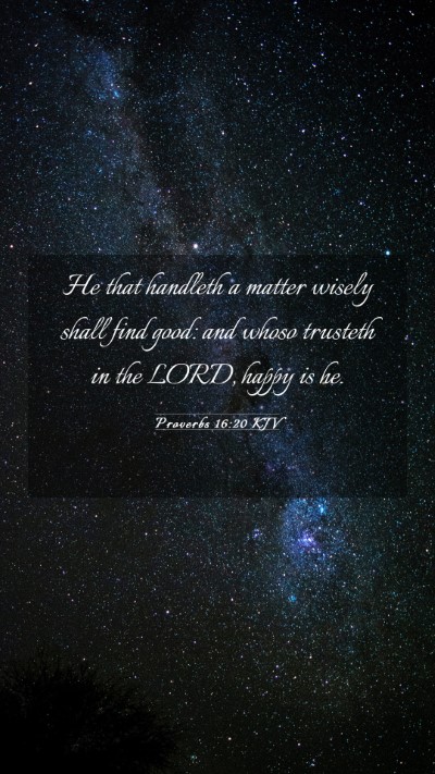 Picture 03 - Proverbs 16:20 KJV Mobile Phone Wallpaper - He that handleth a matter wisely shall find good: - Mobile Bible Verse Wallpaper