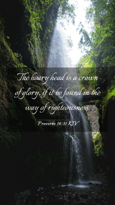 Picture 03 - Proverbs 16:31 KJV Mobile Phone Wallpaper - The hoary head is a crown of glory, if it be - Mobile Bible Verse Wallpaper