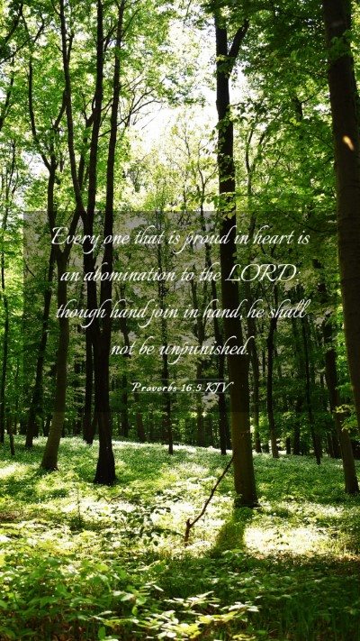 Picture 03 - Proverbs 16:5 KJV Mobile Phone Wallpaper - Every one that is proud in heart is an - Mobile Bible Verse Wallpaper
