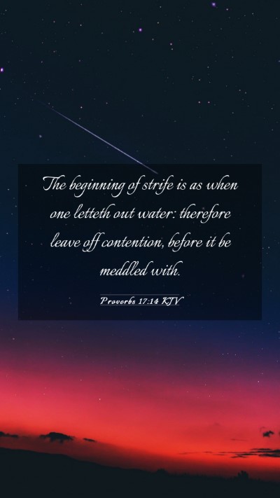 Picture 03 - Proverbs 17:14 KJV Mobile Phone Wallpaper - The beginning of strife is as when one letteth - Mobile Bible Verse Wallpaper