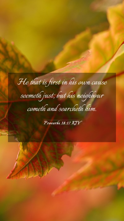 Picture 03 - Proverbs 18:17 KJV Mobile Phone Wallpaper - He that is first in his own cause seemeth just; - Mobile Bible Verse Wallpaper