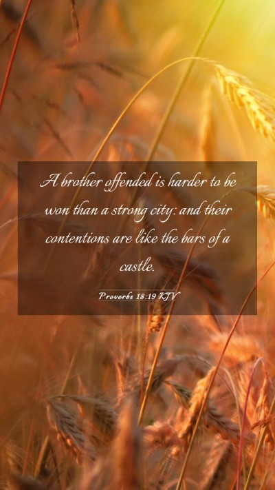 Picture 03 - Proverbs 18:19 KJV Mobile Phone Wallpaper - A brother offended is harder to be won than a - Mobile Bible Verse Wallpaper