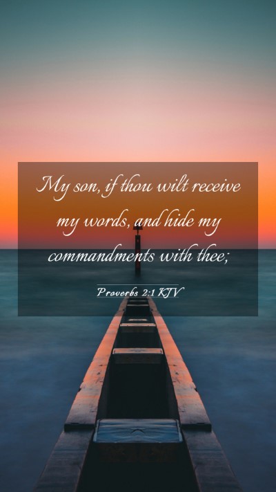 Picture 03 - Proverbs 2:1 KJV Mobile Phone Wallpaper - My son, if thou wilt receive my words, and hide - Mobile Bible Verse Wallpaper