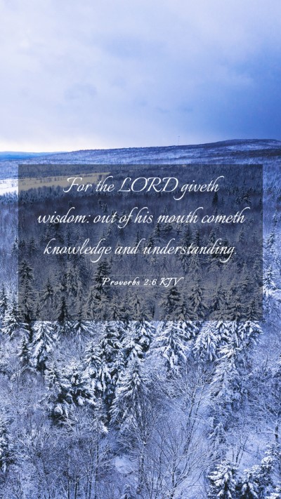 Picture 03 - Proverbs 2:6 KJV Mobile Phone Wallpaper - For the LORD giveth wisdom: out of his mouth - Mobile Bible Verse Wallpaper