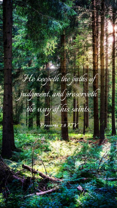 Picture 03 - Proverbs 2:8 KJV Mobile Phone Wallpaper - He keepeth the paths of judgment, and preserveth - Mobile Bible Verse Wallpaper