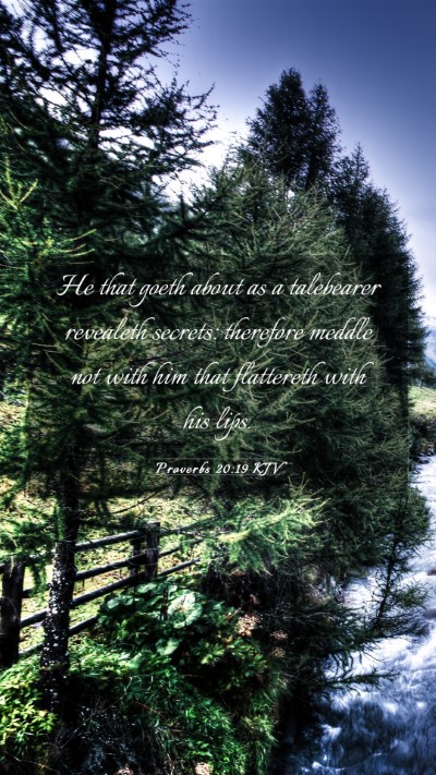 Picture 03 - Proverbs 20:19 KJV Mobile Phone Wallpaper - He that goeth about as a talebearer revealeth - Mobile Bible Verse Wallpaper