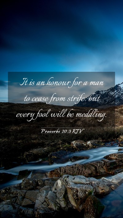 Picture 03 - Proverbs 20:3 KJV Mobile Phone Wallpaper - It is an honour for a man to cease from strife: - Mobile Bible Verse Wallpaper