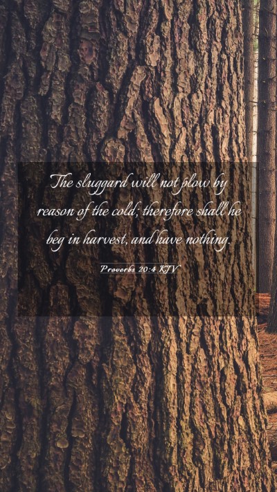 Picture 03 - Proverbs 20:4 KJV Mobile Phone Wallpaper - The sluggard will not plow by reason of the cold; - Mobile Bible Verse Wallpaper
