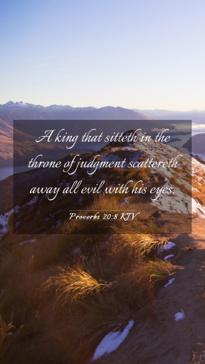 Picture 03 - Proverbs 20:8 KJV Mobile Phone Wallpaper - A king that sitteth in the throne of judgment - Mobile Bible Verse Wallpaper