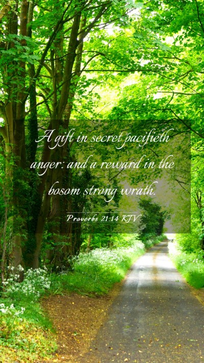 Picture 03 - Proverbs 21:14 KJV Mobile Phone Wallpaper - A gift in secret pacifieth anger: and a reward in - Mobile Bible Verse Wallpaper
