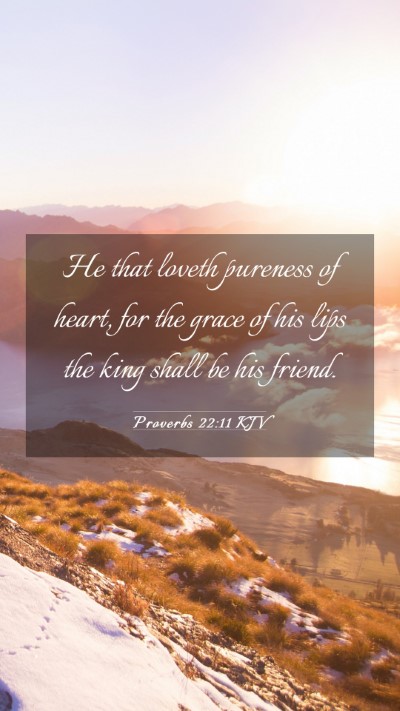 Picture 03 - Proverbs 22:11 KJV Mobile Phone Wallpaper - He that loveth pureness of heart, for the grace - Mobile Bible Verse Wallpaper